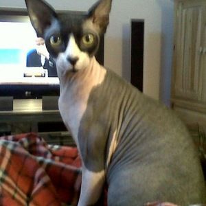 Meet your Posher, Catherine